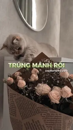 Thấy Em Đi Lạc Trong