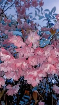 3D wallpaper
