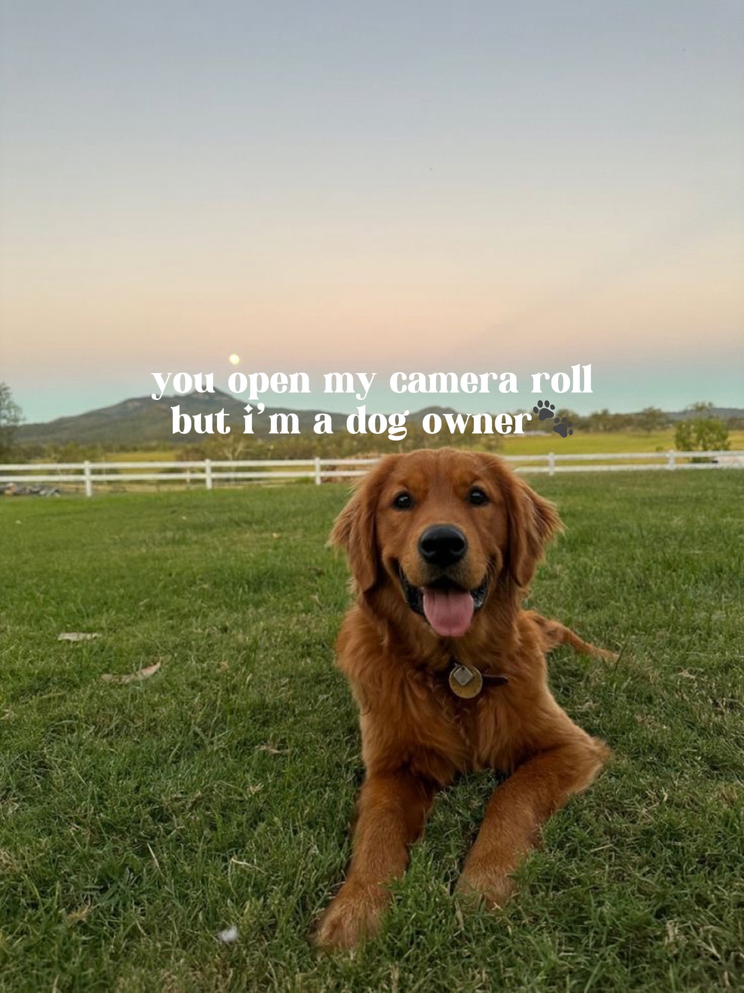 Meu rolo da câmera🐾🐶