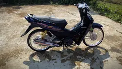 Mẫu biến hình 