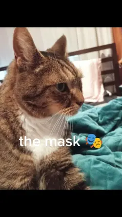 the mask