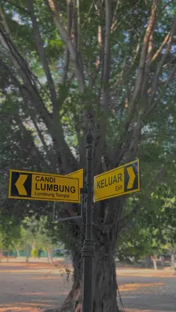 Sinematik mang chung