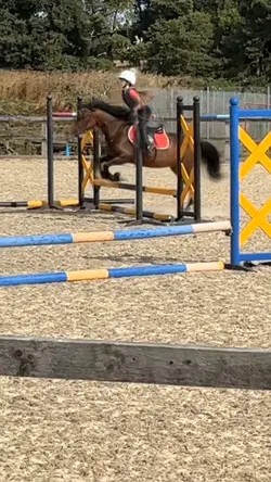 EW STIRRUP