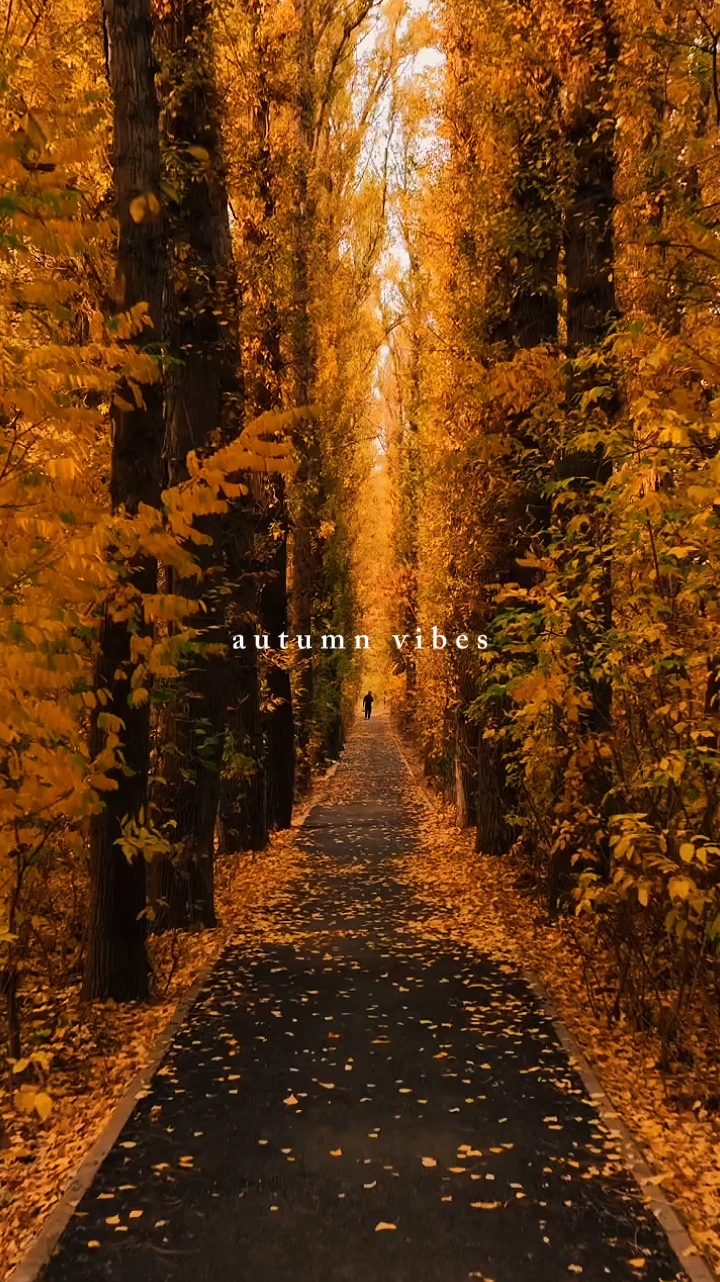 autumn vibes