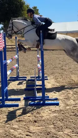 slomo ‼️⚠️FAKE⚠️‼️