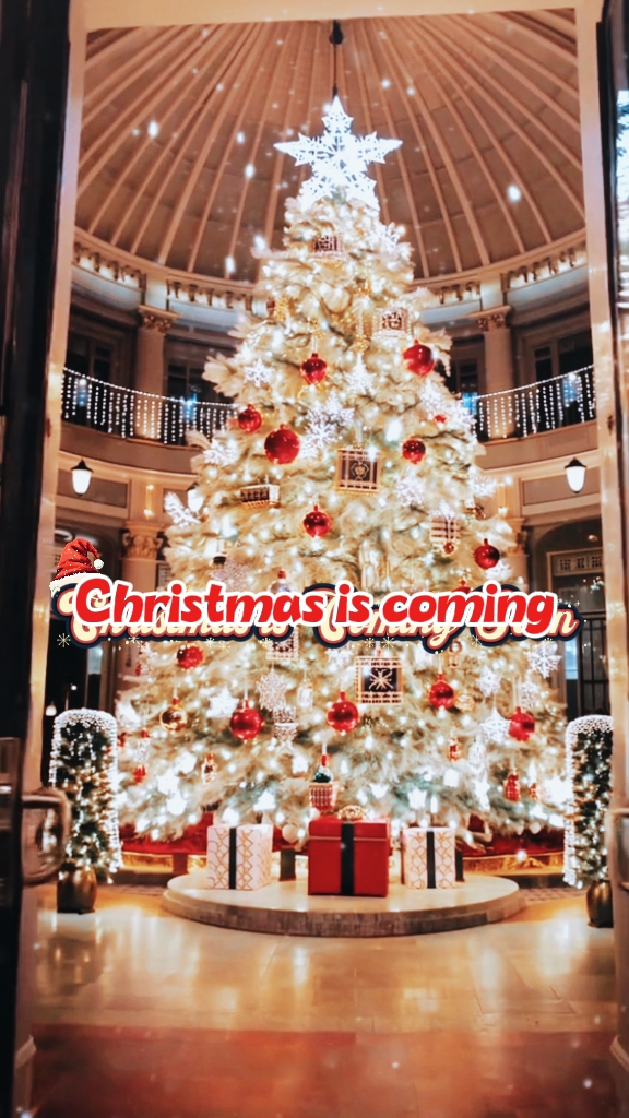 O Natal está chegando 