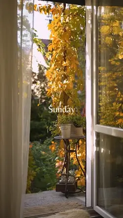 Sunday morning
