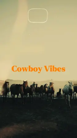 Cowboy Vibes