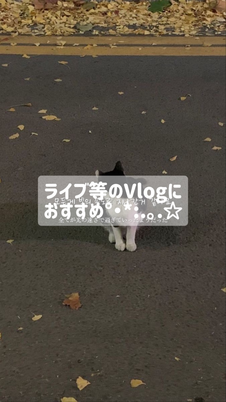 Vlog(BOYSPLANET ver)