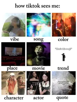 how tiktok sees me