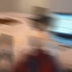 dans eden kedi