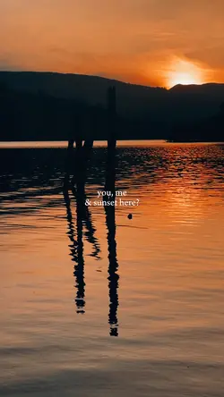 aesthetic sunset