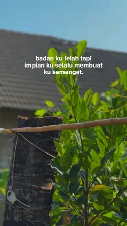 bahan sw