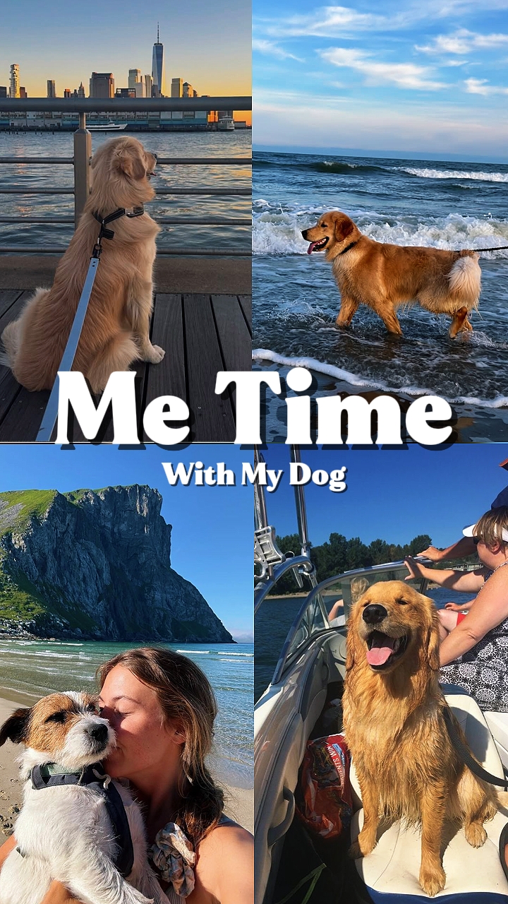 Me Time Con Perro
