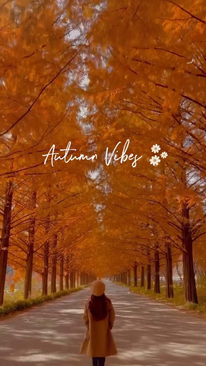 1. Autumn Vibes 
