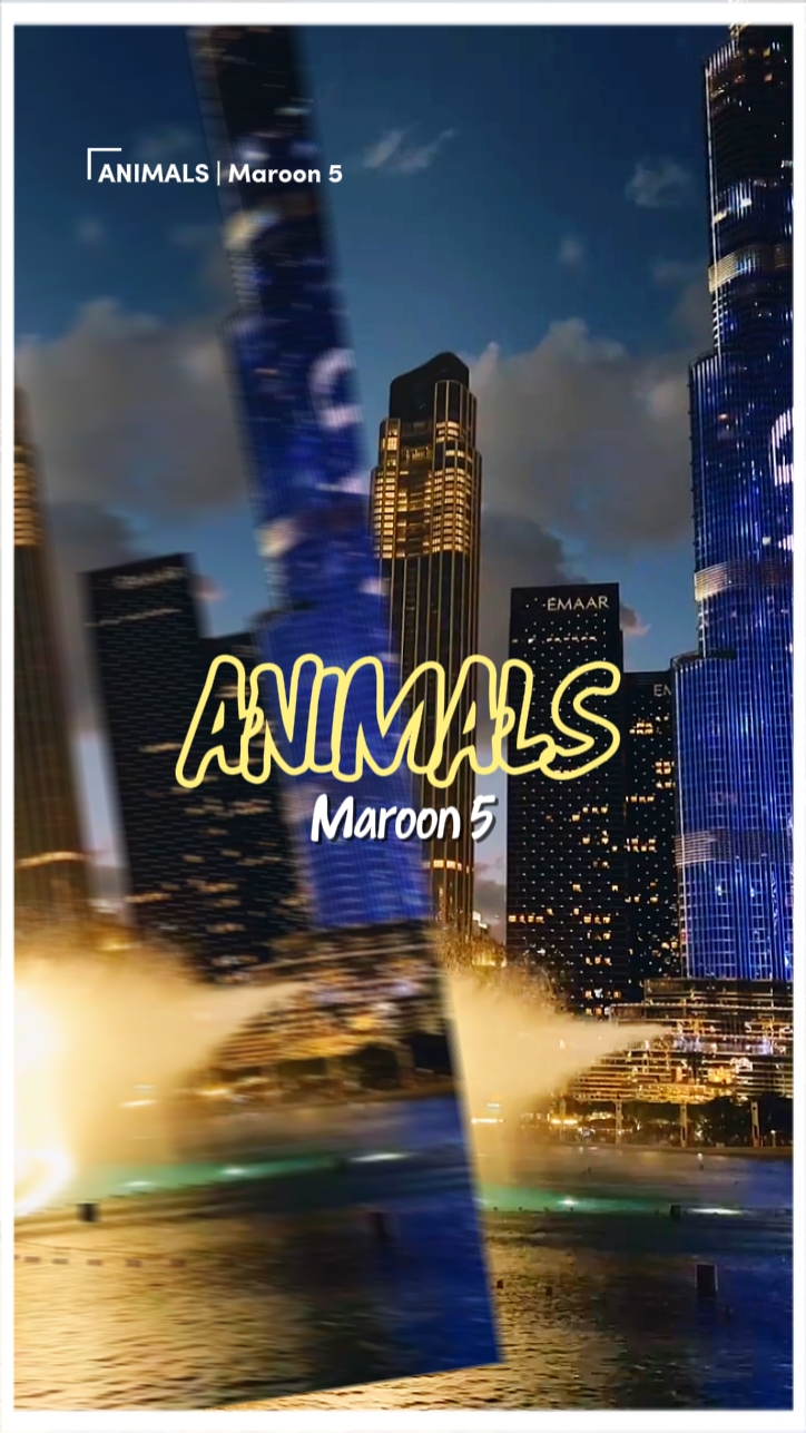 Animals