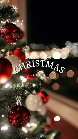 Christmas is coming
