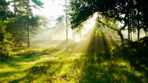 Paisagem 