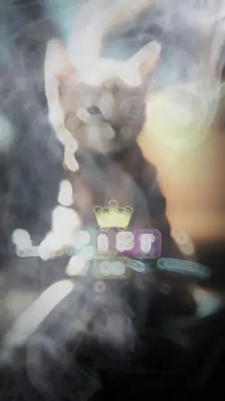 ราชบุมีดียิ่งกว่าโอ่