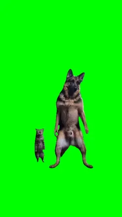 VIBING DOGGY