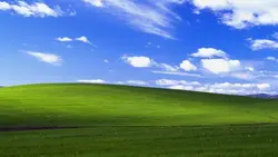 여자애들 특
