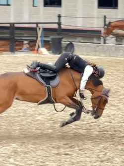 Horse fail