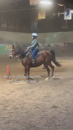 FAKE HORSE NOT REAL