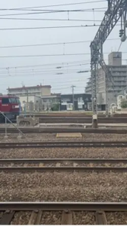 ドゾ