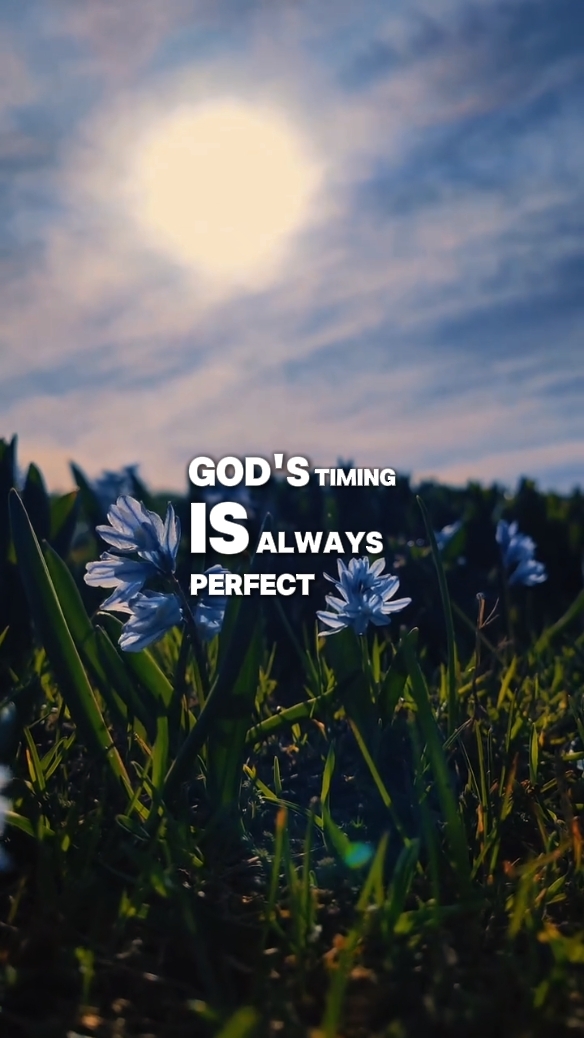 Eclesiastés 3: 11