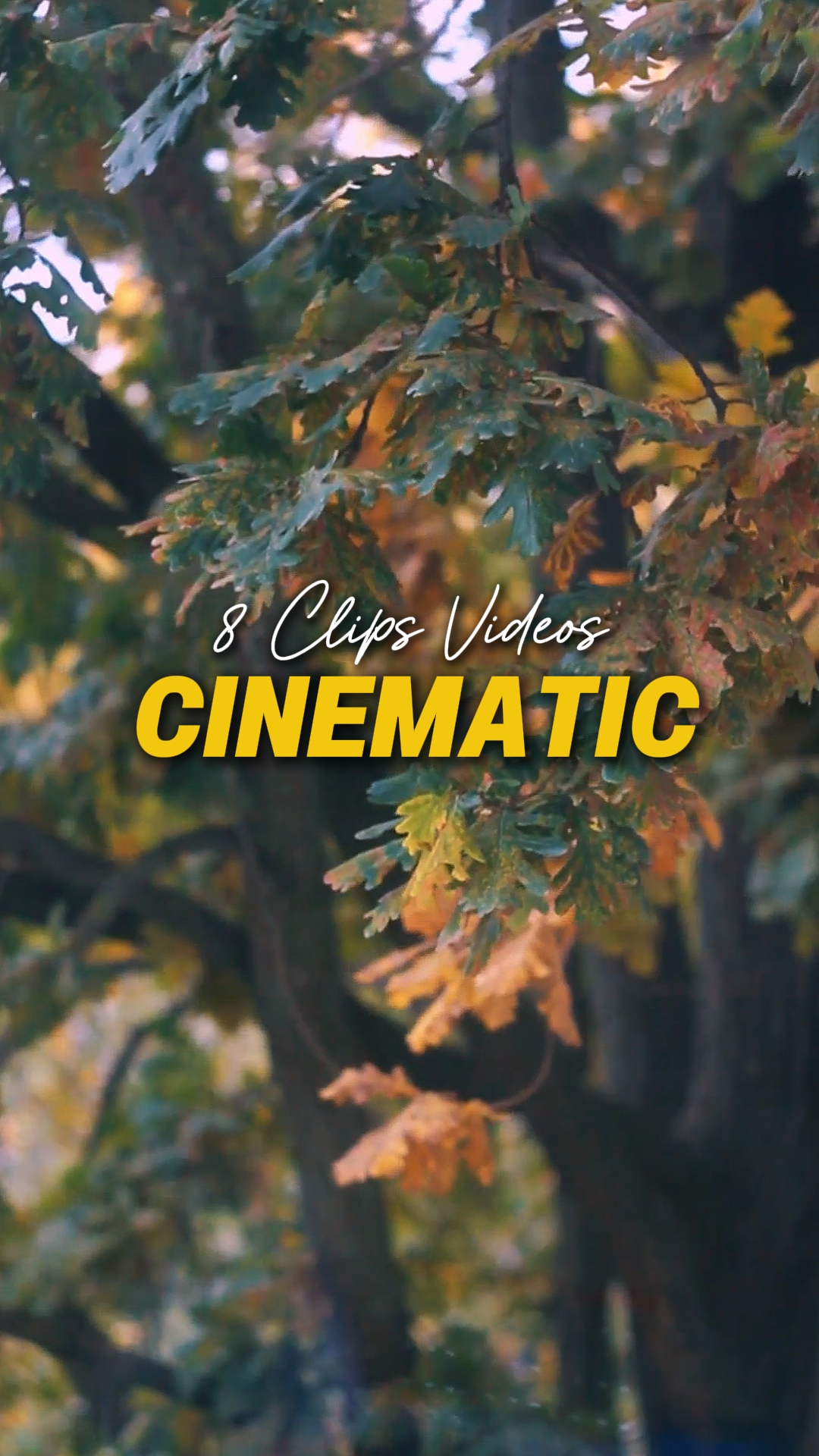 Cinematic 8 Videos