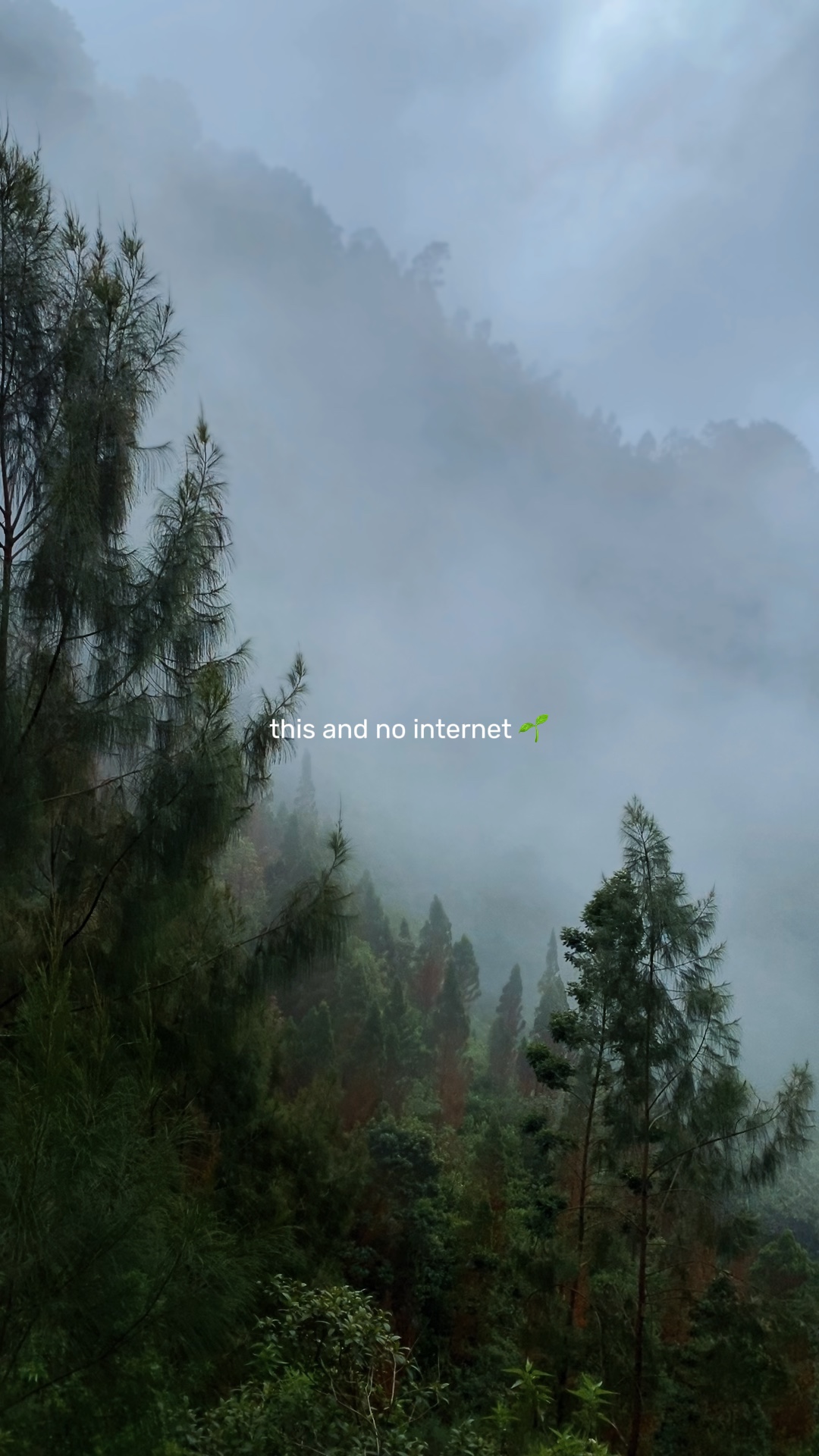 Versi blur hd