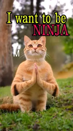 I want to be ninja