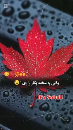 یو نــر ملگری خہ وی 