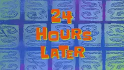 24 hous later