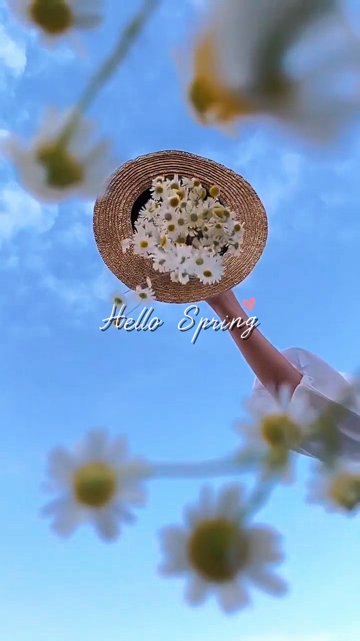 Bonjour le printemps