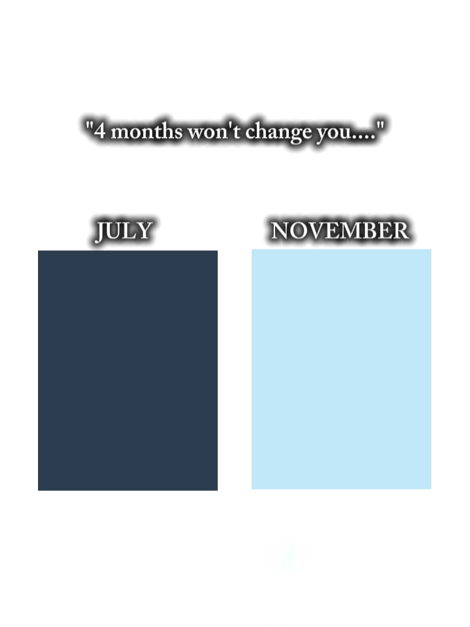 4 ay 