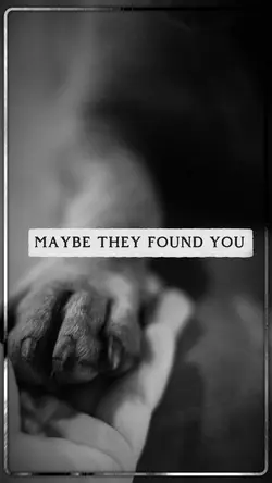 Found You
