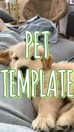 PET TEMPLATE