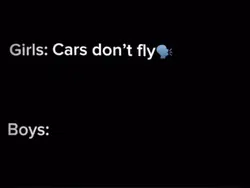 Cars do flys