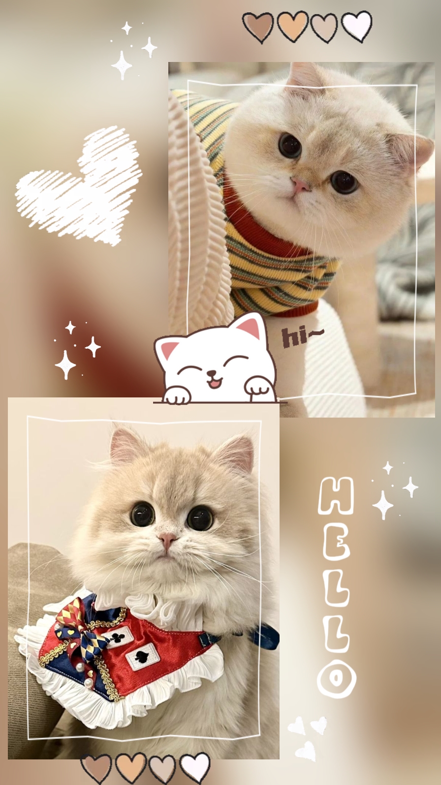 Catlovers