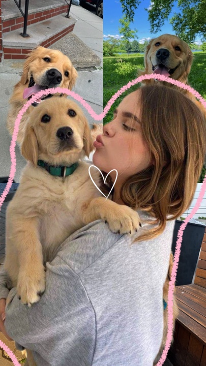 Dog bestfriend 