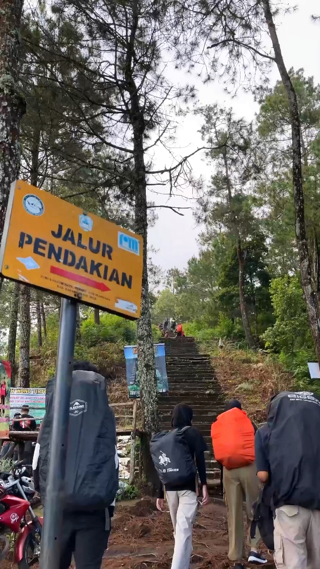 Gunung ng sinehan