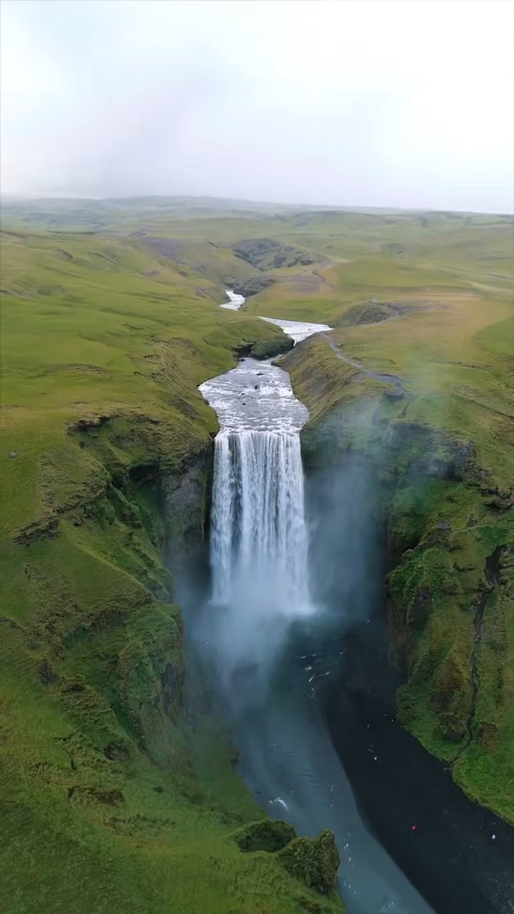 10 video wild nature