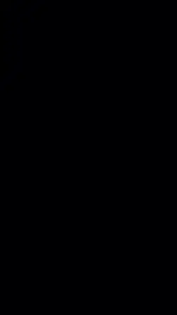 Elektronik gitar....