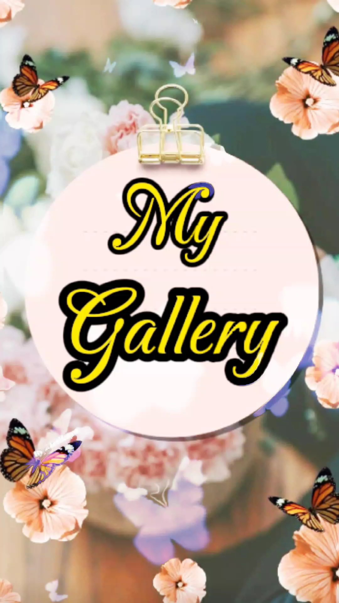 Mi galería