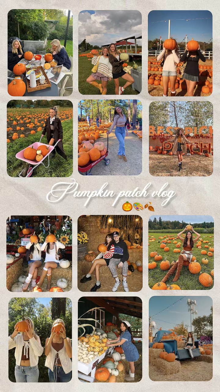 Vlog del parche de calabazas 