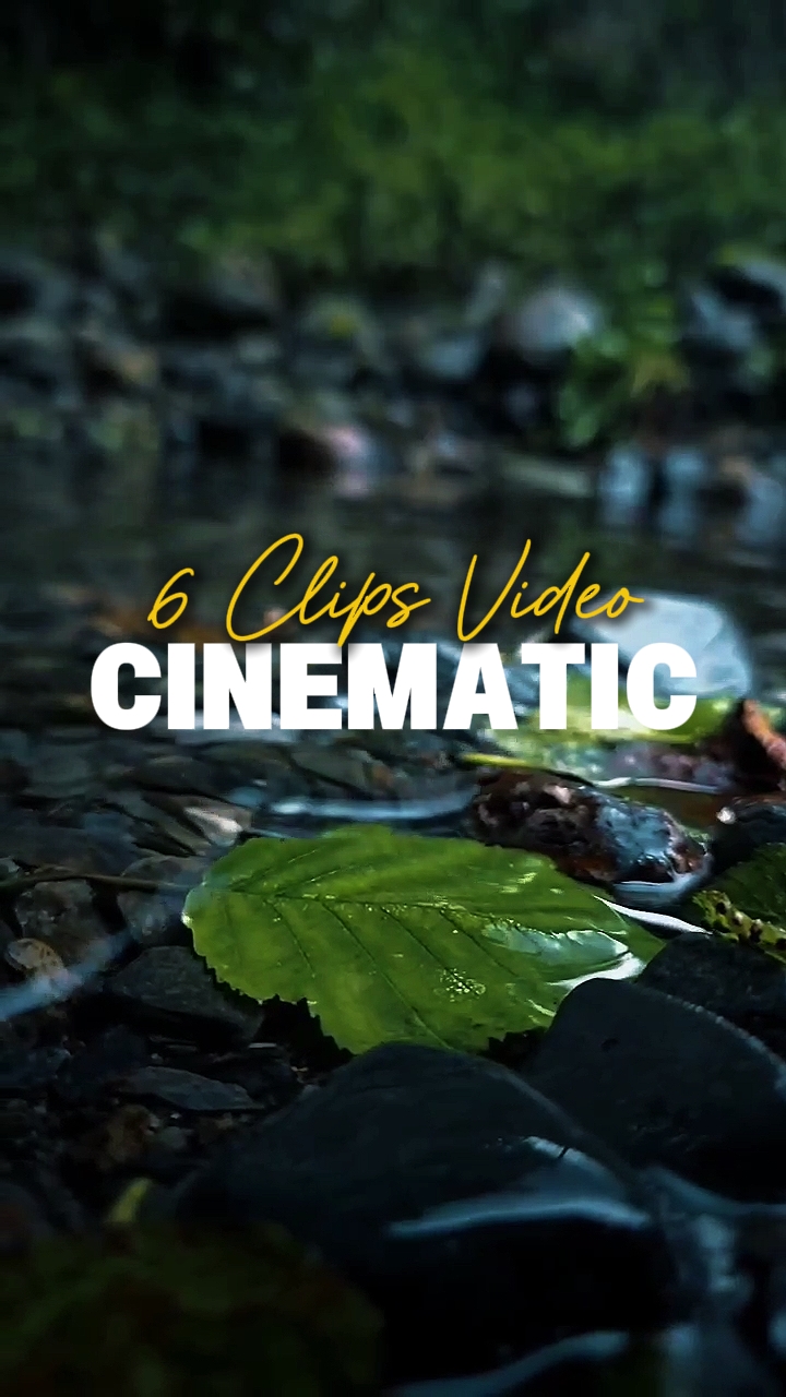 6 Clips Video 