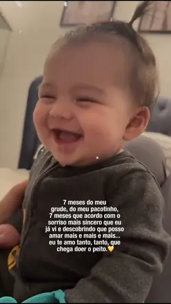 7 meses 