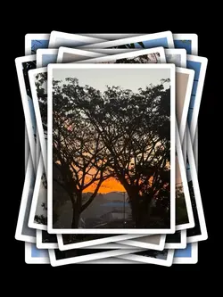 8Pic Clip Aesthetic