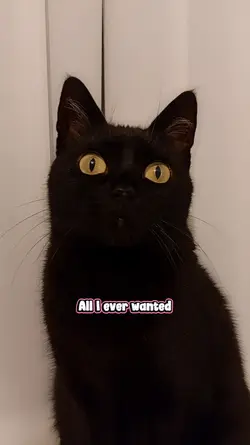 Now I have you!